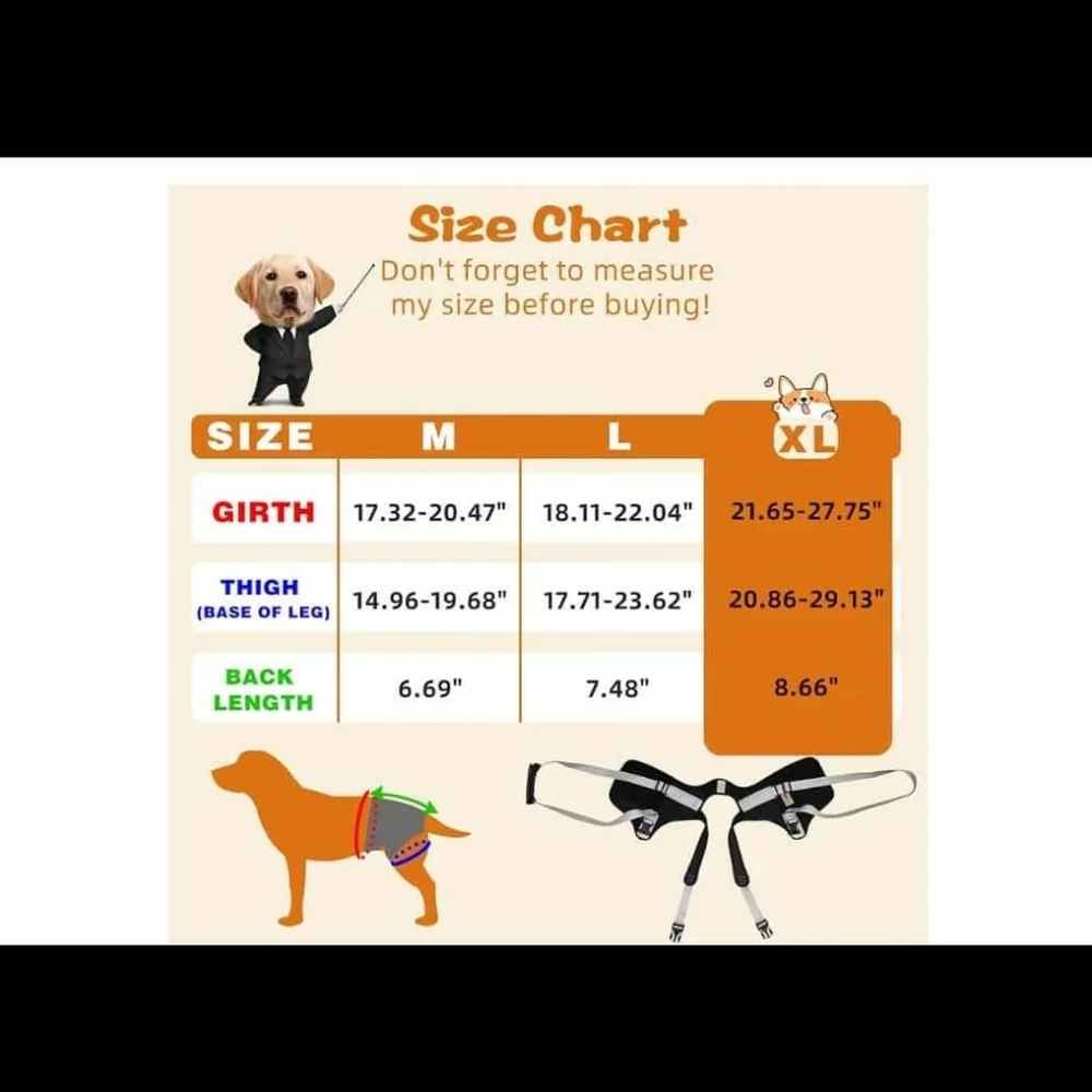 Senior Budday Dog Lift Harness for Large Dogs